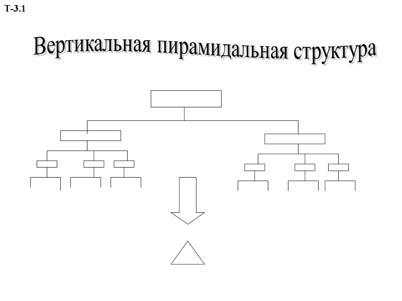 Вертикальная пирамидальная структура Т-3.1